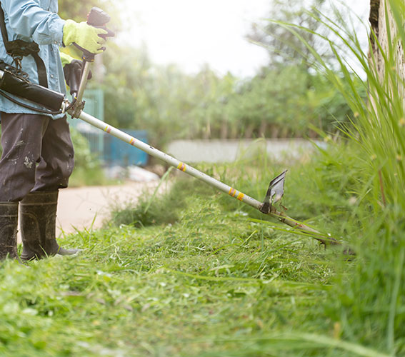 Débroussaillage en bordure d'une habitation