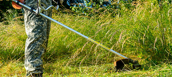 Débroussaillage de plantes et d'herbes