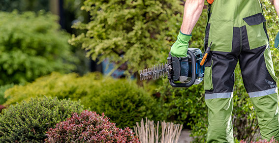 Élagueur avec un taille haie électrique pour de l'entretien d'espaces verts